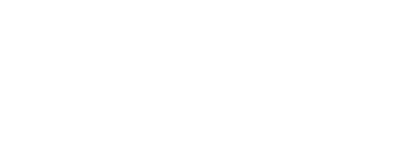 Logo Levi
